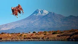 Aksaray