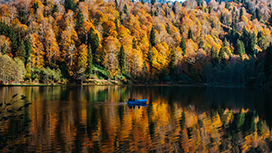 Artvin