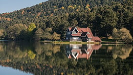 Bolu