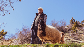 Karaman