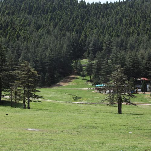 Gallery item 15