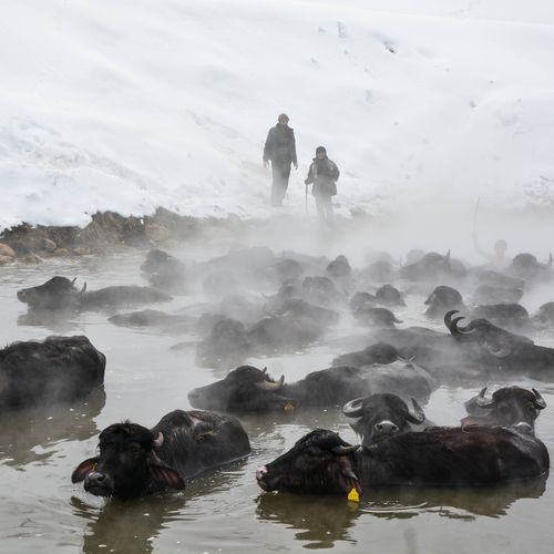 Gallery item 5