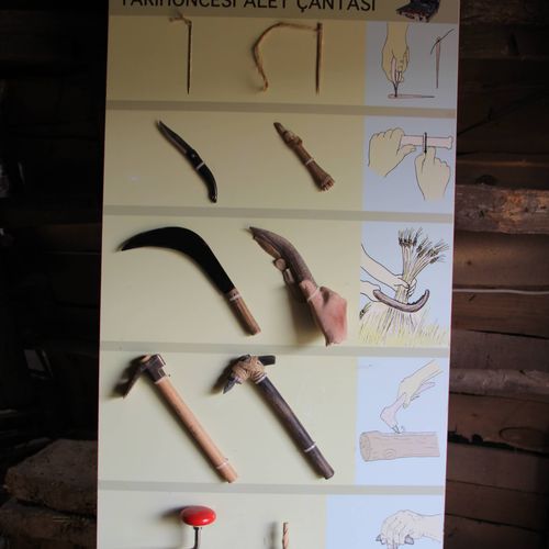 Gallery item 8