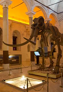 Burdur Natural History Museum