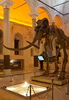 El Museo de Historia Natural de Burdur