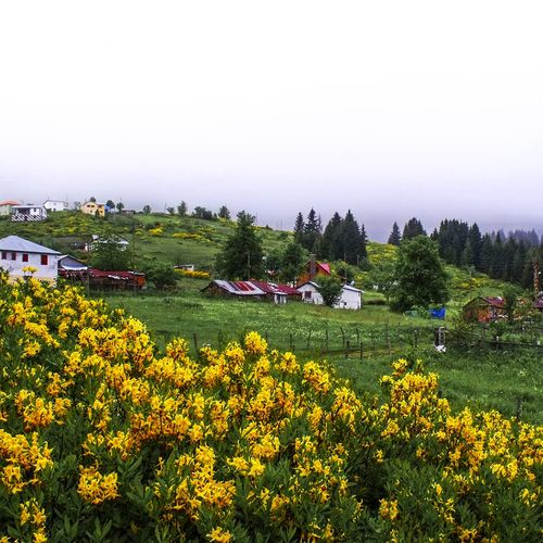 Çambaşı Plateau