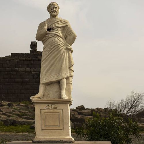 Assos