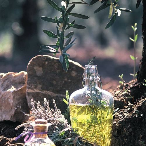 La Culture de l'olive de Çanakkale