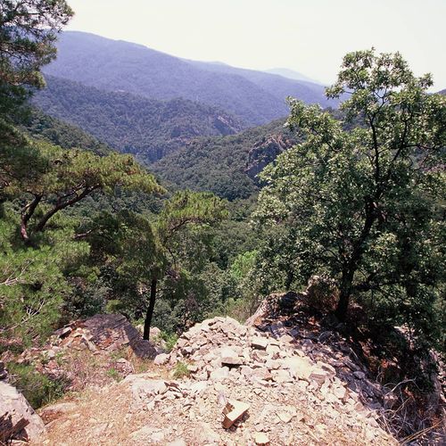 Kaz Dağları Havası