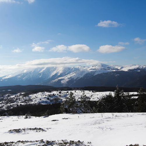 Центр зимових видів спорту Илгаз