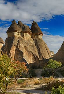 Паша Багларі (Paşa Bağları)