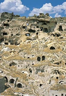Cavuşin