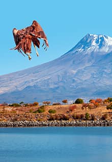 Flying Hawk Over Volcanic Hasan Mountain