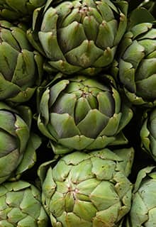 Artichoke