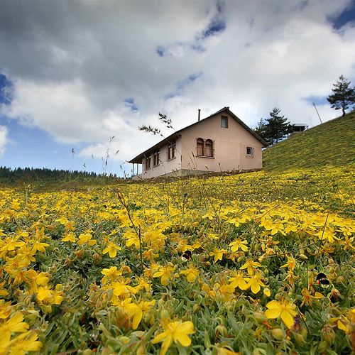 Çiğdem Plateau