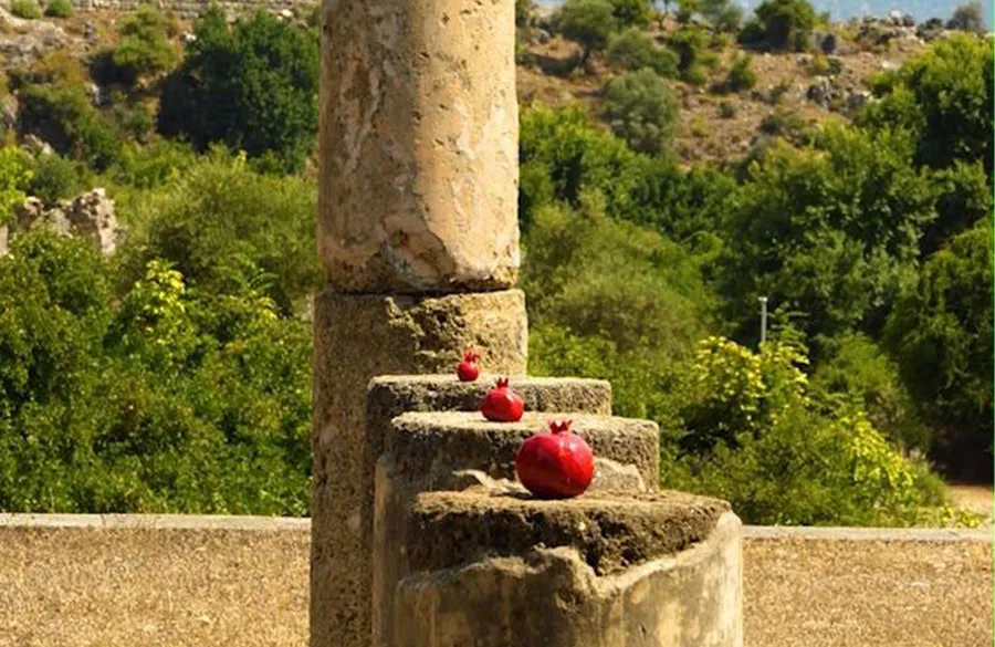 1st International Dalyan Pomegranate Festival