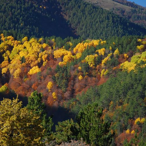 Plateau de Kargı