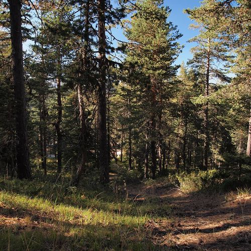 Hauts plateaux de Kuşçaçimeni