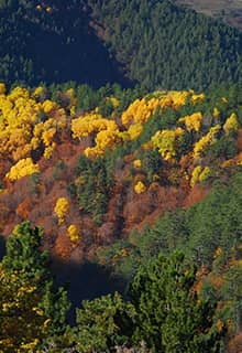 Плато Карги