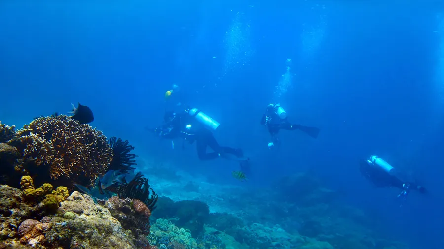 Diving in turquoise waters