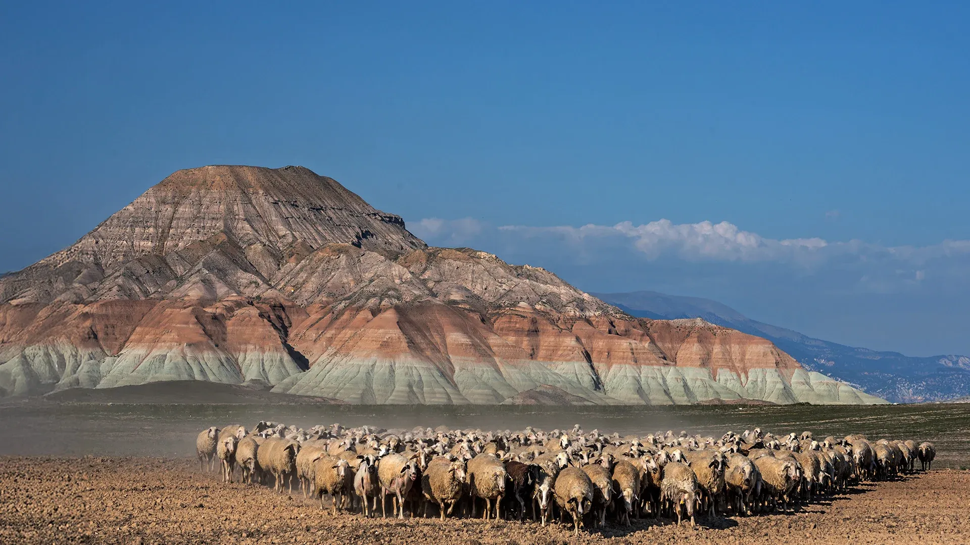 Traces of the Silk Road: A 3-Day Journey Through the Heart of Anatolia Hero