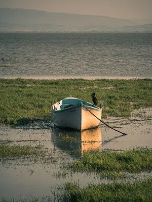 Bandırma Bird Watching Festival