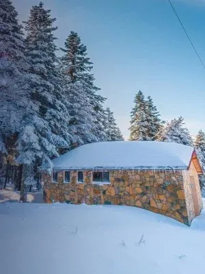 Bursa