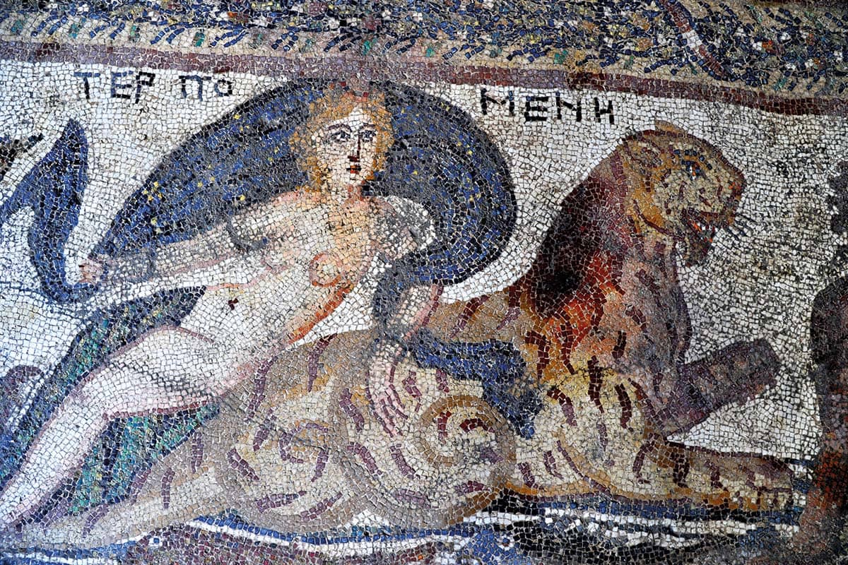 Blog Image - Roman mosaics of City of Flavians in ancient Cilicia