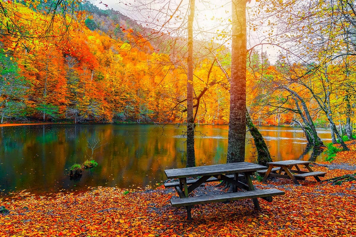 Blog Image - How to: Türkiye's Seven Lakes Region