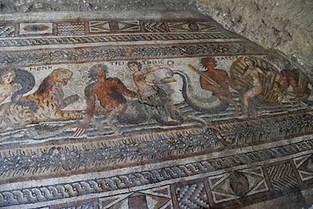 Roman mosaics of City of Flavians in ancient Cilicia