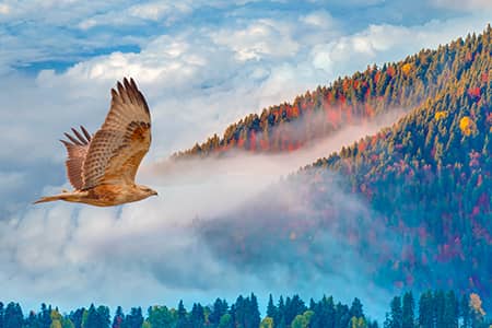How to: Türkiye's Seven Lakes Region