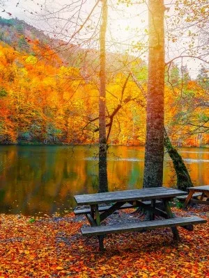 Four Seasons