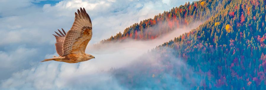 How to: Türkiye's Seven Lakes Region
