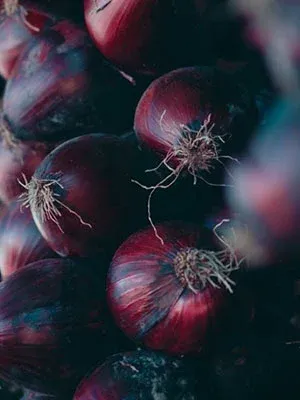 Kapıdağ Onion