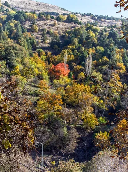 Nature