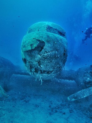 Diving