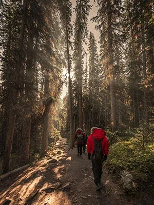 Trekking-Hiking