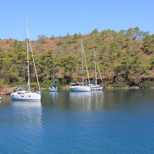 Küçük Çatı Koyu