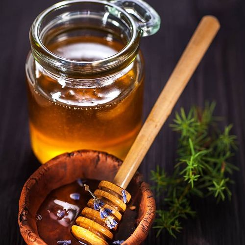 عسل الصنوبر