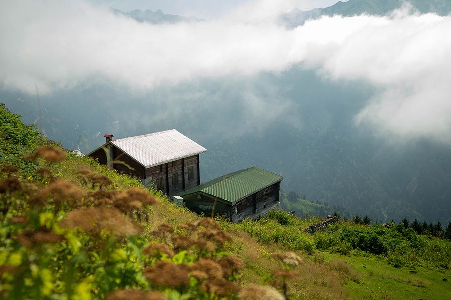 Riza Pokut