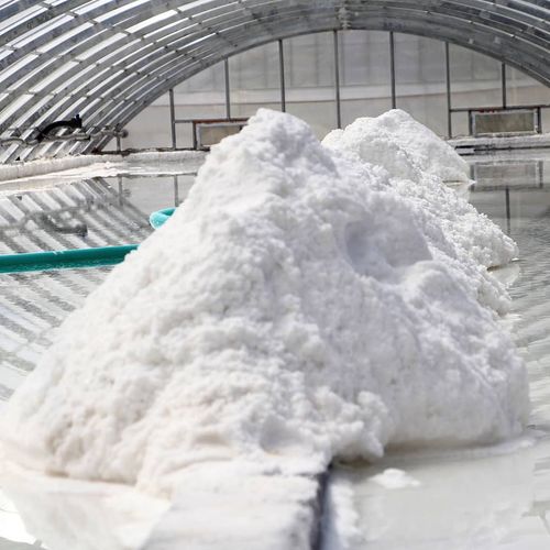 Delice Salt