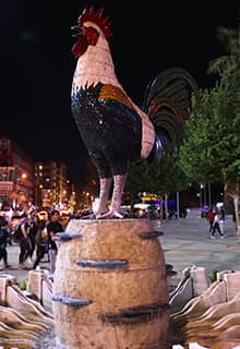 رمز ديك دنيزلي