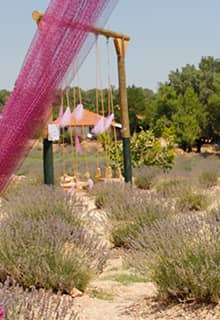 Jardins de lavande de Pamukkale