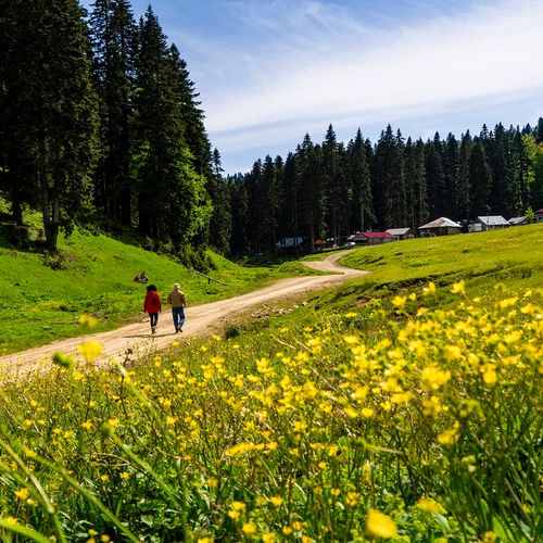 Derebalık Plateau