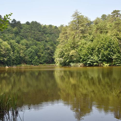 Dipsiz Lake