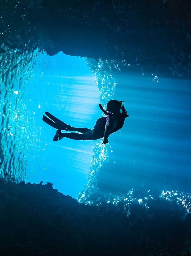 Diving Listing Image