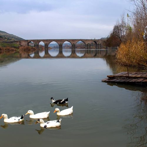 Ongözlü Köprü
