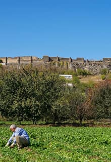Сади Хевсель