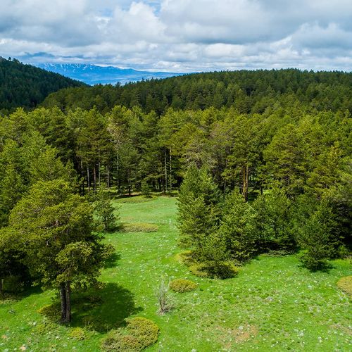 Dumanlı Plateaus