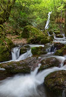 El parque natural de la cascada de Aydınpınar